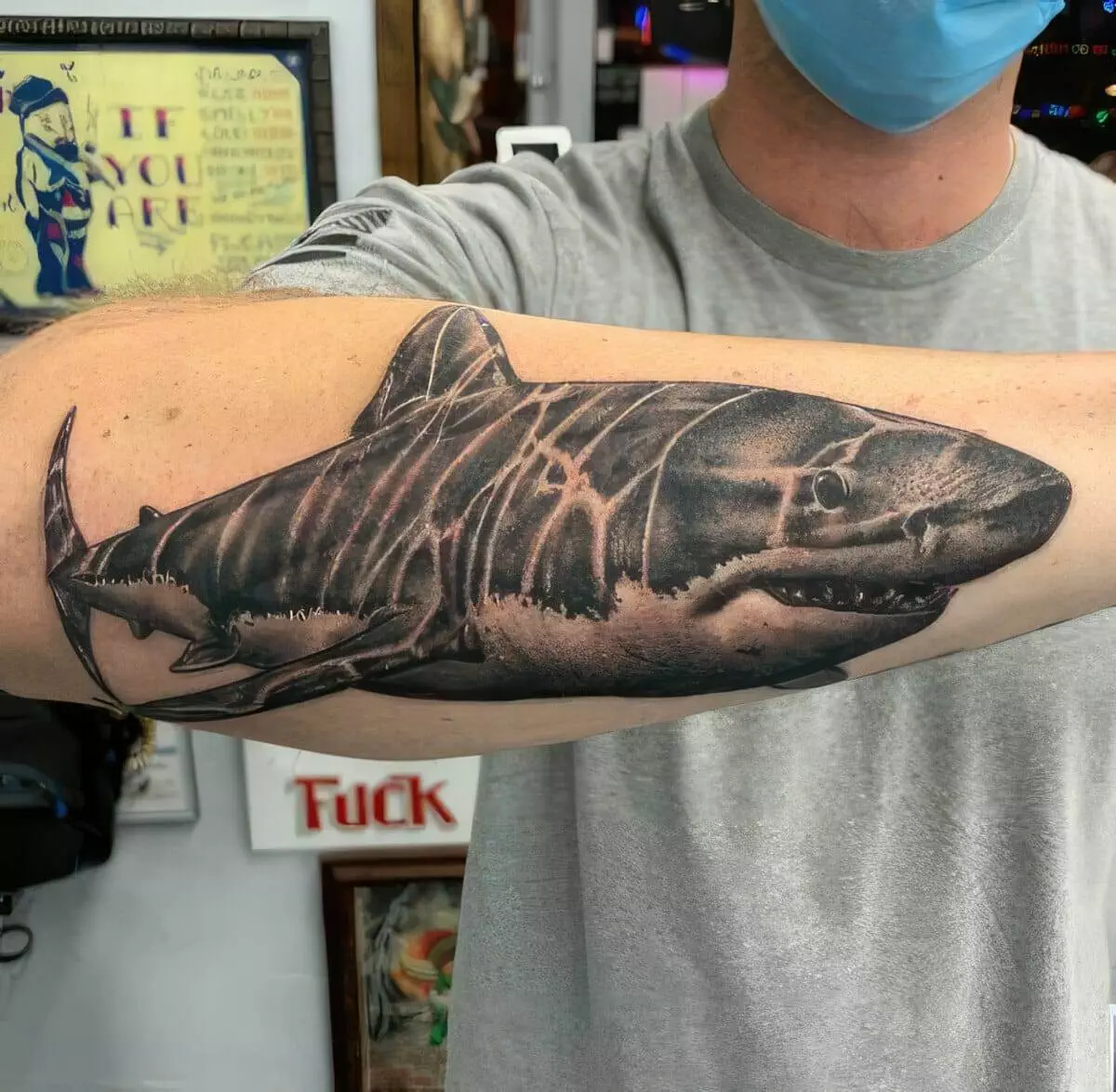 An arm with a detailed tattoo of a shark, shown prominently as the person wears a grey shirt and a blue face mask.