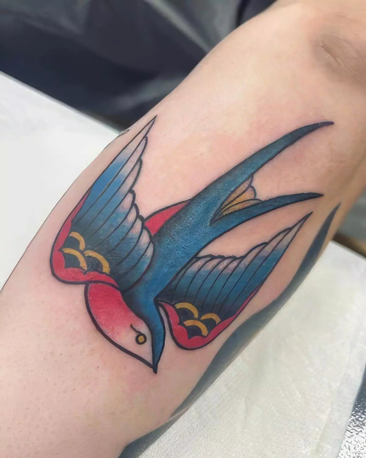 A color tattoo of a swallow with blue wings, red belly, and yellow accents is inked on the skin.