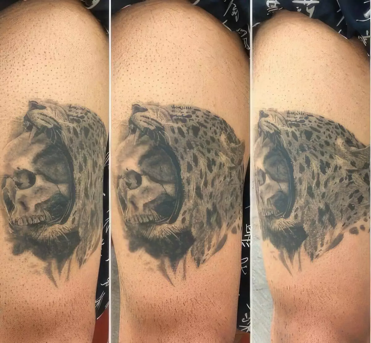 A tattoo of a leopard's head, mouth open, and superimposed with a human skull on the inner thigh of a person.