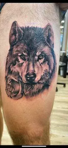 A tattoo of a wolf's head with a rose held in its mouth is displayed on a person's thigh.