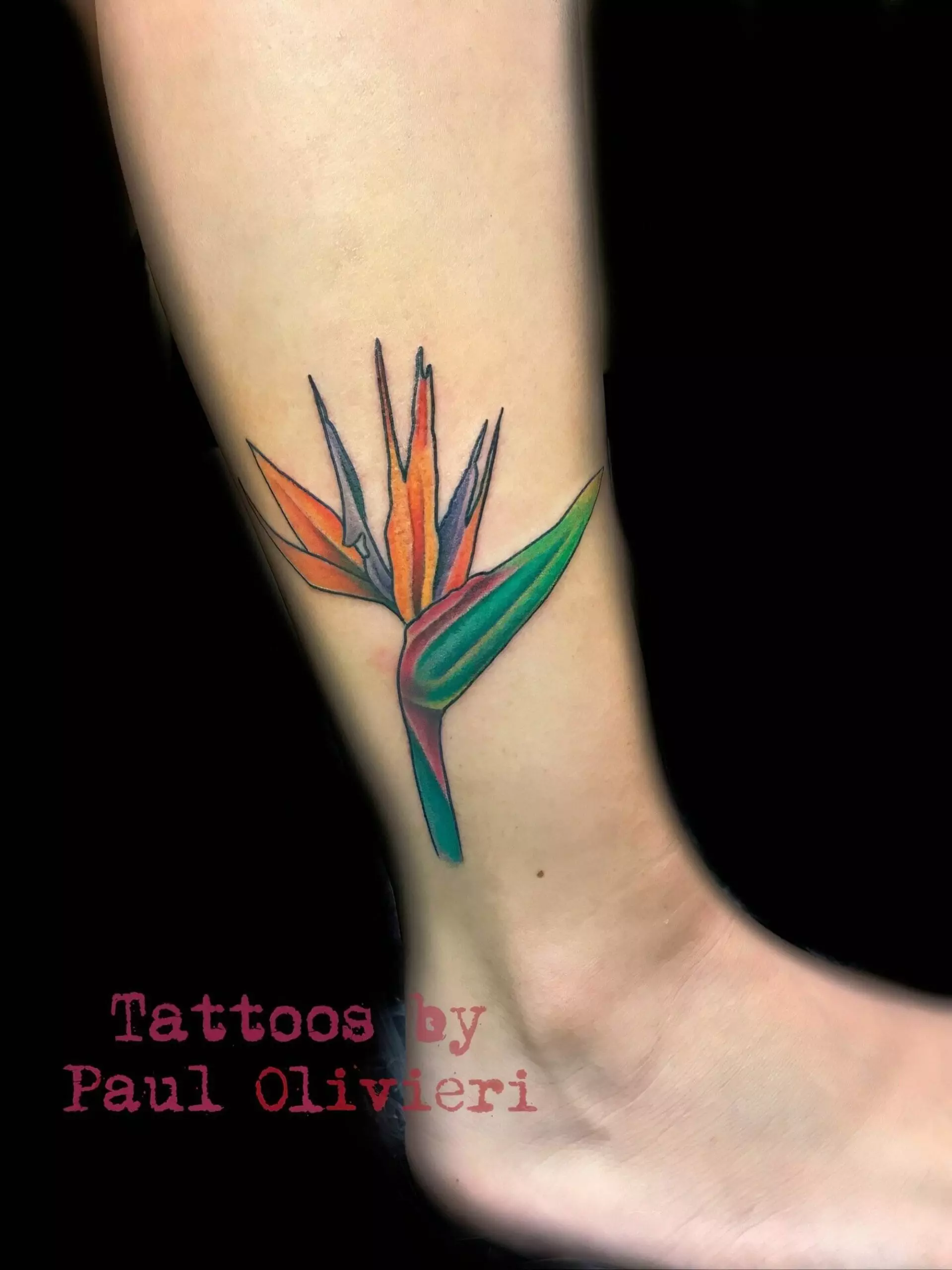 Close-up of a tattoo on a lower leg depicting a colorful bird of paradise flower. Text below reads 