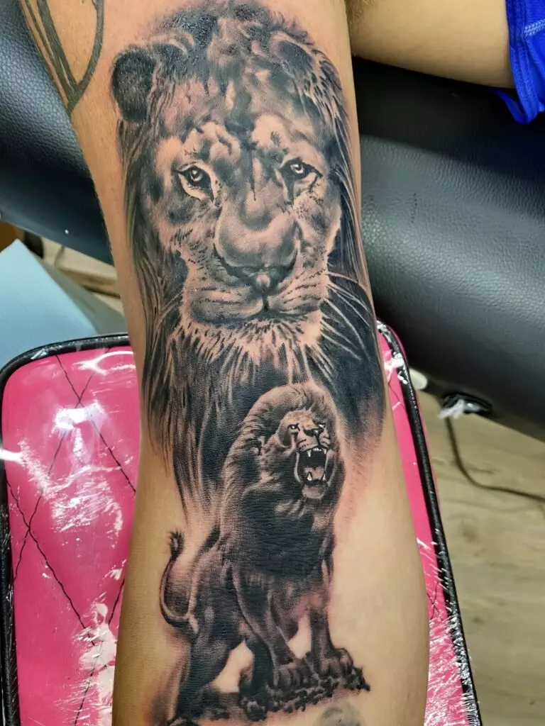 Close-up of a person's arm with a detailed lion tattoo, depicting a calm lion's face at the top and a roaring lion's full body below. The background features shades enhancing the overall design.