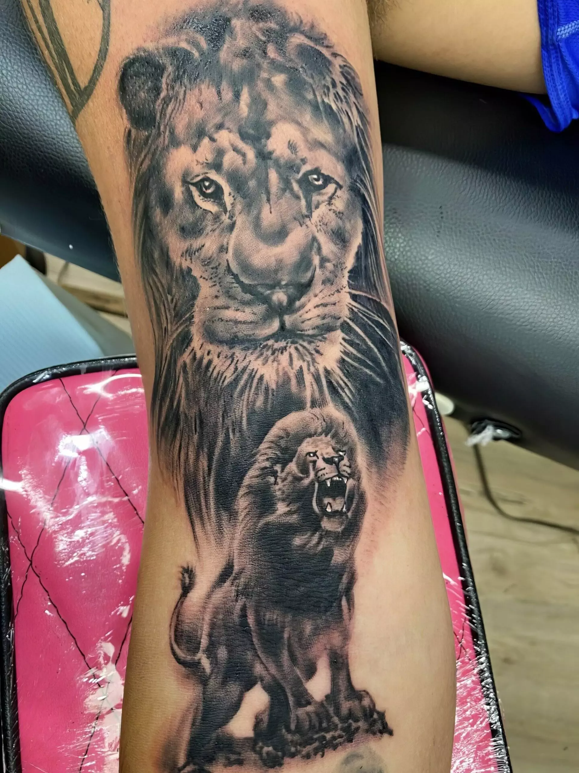 Close-up of a person's arm with a detailed lion tattoo, depicting a calm lion's face at the top and a roaring lion's full body below. The background features shades enhancing the overall design.